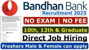 bandhan bank job